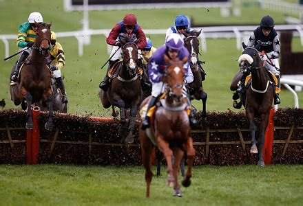 oddschecker betvictor gold cup,Mais